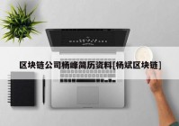 区块链公司杨峰简历资料[杨斌区块链]